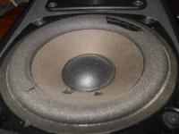 DSCN1273.JPG