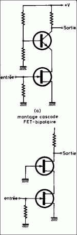 monster c ascopde types.gif monster c ascopde types.gif