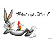 whatsupdoc.jpg