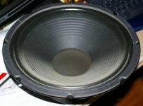 Fender-Special-Design-12"-front.jpg