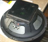 Traynor-TS100-12"-back.jpg