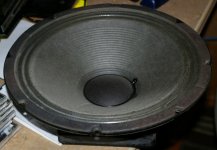 Traynor-TS100-12"-front.jpg