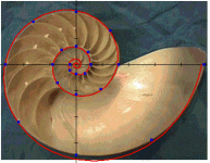 NautilusSpirlDataAndFit.gif