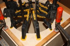 IMG_5895.JPG