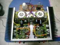 Dx Blame ST - Brazilian green boards.jpg