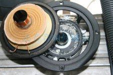 Signum_oxidation_002.jpg