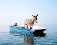 funny-honduras-01.jpg
