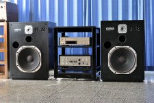 Yamaha FX-1 JA-3805 bass front-II.jpg