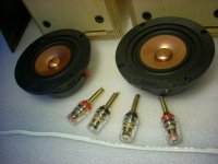 6M kit-4.jpg