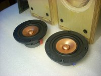 6M kit-5.jpg
