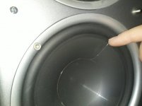 Speaker Tear.jpg