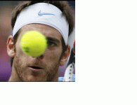 DELPO.GIF