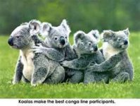 Conga line.jpg