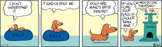 Dachshund Wally - your place is cooler than mine..jpg