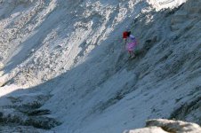 IMG_1730.jpg