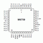 Image1.gif