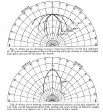 polar curves from response above and higher res 1k below.jpg