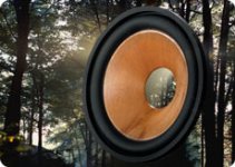 woodcone.jpg