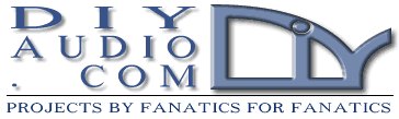 diyaudiologo6p.gif