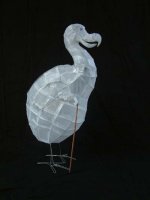 dodo.jpg