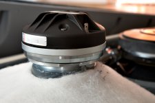 IMG_4377.jpg