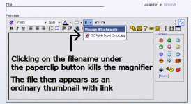 Keeping the magnifier.gif