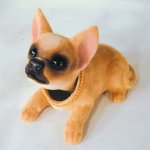 bobbing_chihuahua.jpg