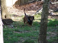 IMG_0367.JPG