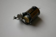 IMGP7803.jpg