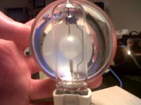 Bulb at 25mm.jpg