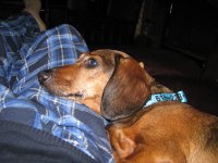 IMG_0320.JPG