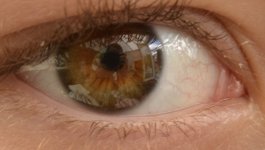 eye2.jpg