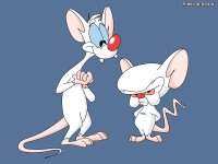 pinky-and-the-brain-wallpapers.jpg