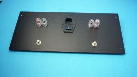 back panel with schurter PEM and deluxe binding posts.jpg