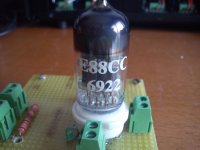 DSC00051.jpg