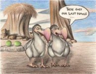 dodo.jpg