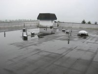 IMG_5442.jpg