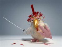 Zorro Bird.jpg