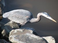 IMG_3682.jpg