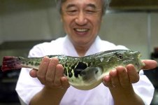 777458-killer-fish.jpg