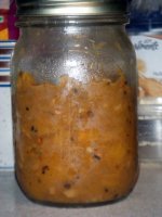 chutney1.jpg