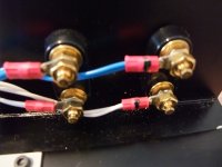 speakerWire.jpg