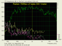 Iwata_300_Radian760Neo.gif