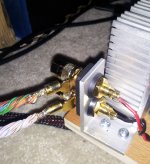 Cat5.jpg