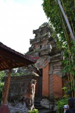 DSC_0062.jpg