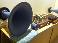 blue horns 5.JPG