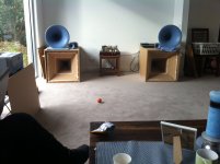 blue horns 7.JPG