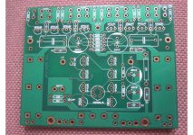 Goldmund  GM29 Amp PCB_Seite_1.jpg