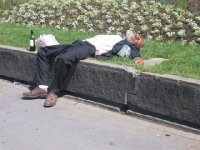 vacation img_0602.jpg