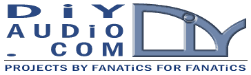 diyaudiologo6r.gif
